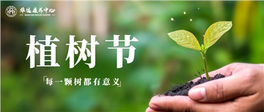 每一棵樹都有意義——3.12植樹節(jié) 栽種生命的新綠 點(diǎn)亮自然的微光